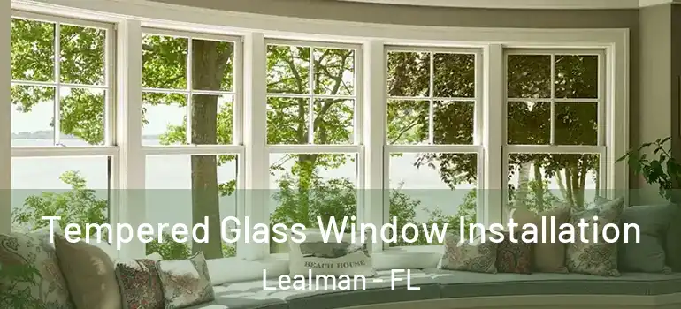  Tempered Glass Window Installation Lealman - FL